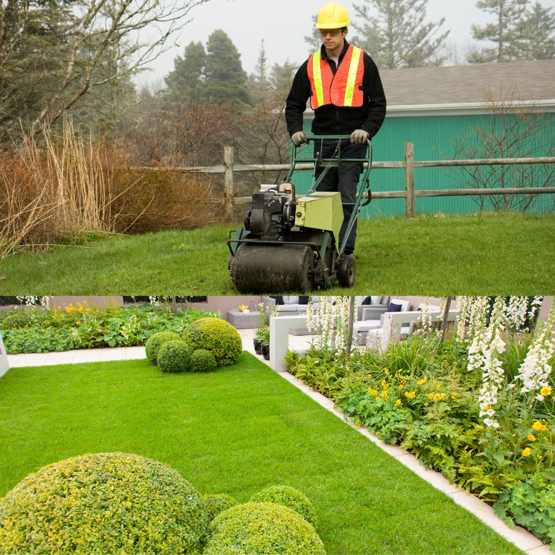 Lawn / Landscaping Services