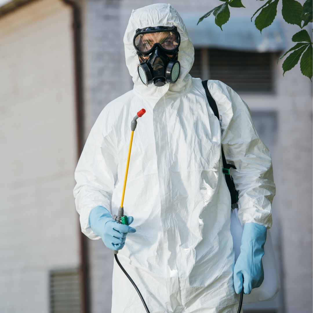 Pest Control Service